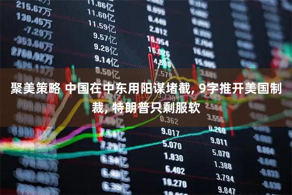 聚美策略 中国在中东用阳谋堵截, 9字推开美国制裁, 特朗普只剩服软