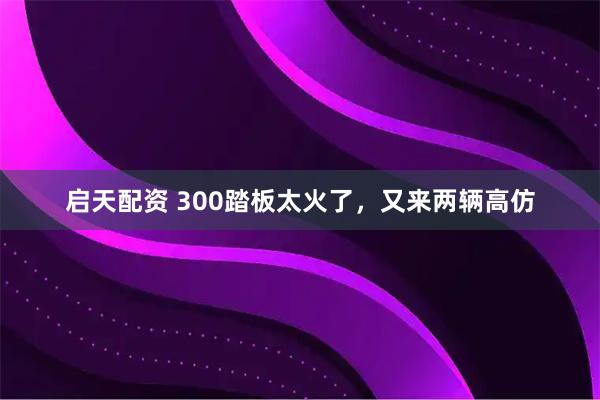 启天配资 300踏板太火了，又来两辆高仿